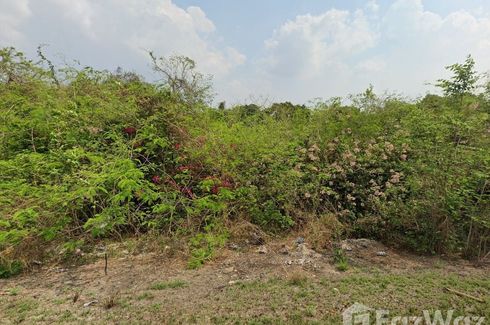 Land for sale in Wang Yen, Chachoengsao