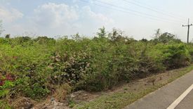 Land for sale in Wang Yen, Chachoengsao