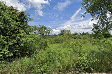 Land for sale in Nong Irun, Chonburi