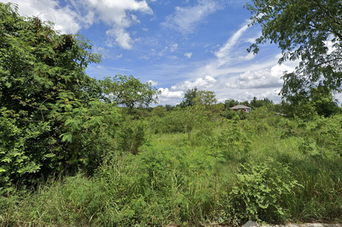 Land for sale in Nong Irun, Chonburi