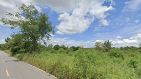 Land for sale in Nong Irun, Chonburi