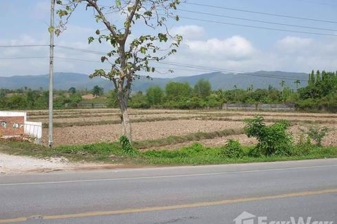 Land for sale in Huai Sak, Chiang Rai