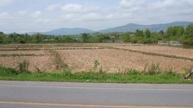 Land for sale in Huai Sak, Chiang Rai