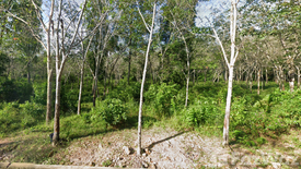 Land for sale in Manang Tayo, Narathiwat