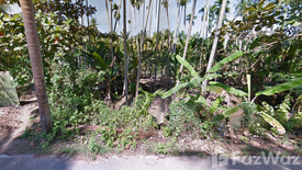 Land for sale in Amphawa, Samut Songkhram