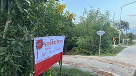 Land for sale in Wat Bot, Phitsanulok