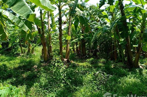 Land for sale in Khlong Hae, Songkhla