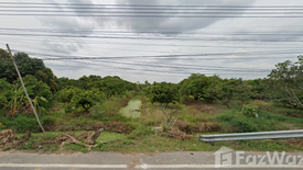 Land for sale in Ton Thong, Lamphun