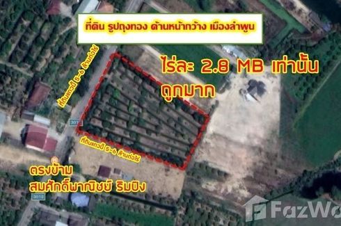 Land for sale in Ton Thong, Lamphun