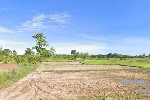 Land for sale in Nong Mai Ngam, Buriram