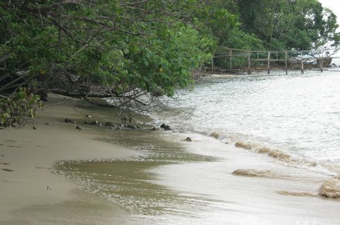 Land for sale in Ko Yao Yai, Phang Nga