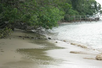 Land for sale in Ko Yao Yai, Phang Nga