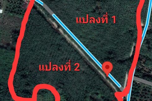 Land for sale in Klaeng, Rayong