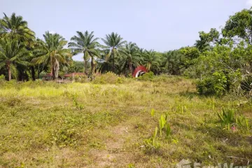 Land for sale in Khao Thong, Krabi