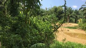 Land for sale in Bang Phra Nuea, Ranong