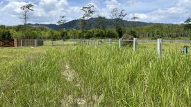 Land for sale in Bang Thong, Phang Nga