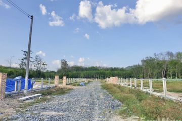 Land for sale in Bang Thong, Phang Nga