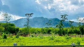 Land for sale in Bang Thong, Phang Nga