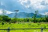Land for sale in Bang Thong, Phang Nga