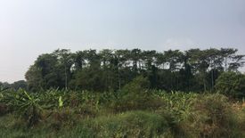 Land for sale in Talat Kruat, Ang Thong