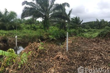 Land for sale in Bang Nai Si, Phang Nga