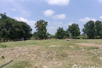 Land for sale in Kut Noi, Nakhon Ratchasima