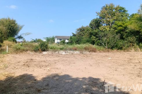 Land for sale in Mueang, Loei