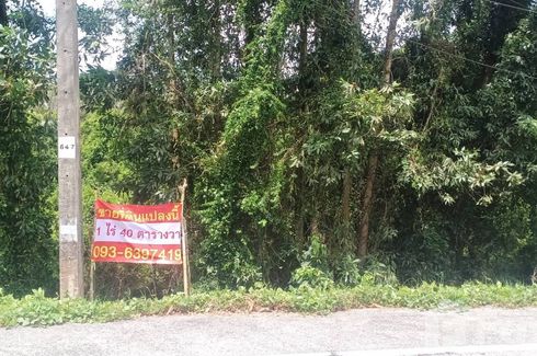 Land for sale in Tanyong Mat, Narathiwat