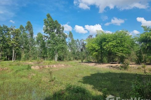 Land for sale in Kut Chom Phu, Ubon Ratchathani