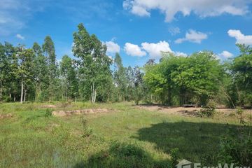 Land for sale in Kut Chom Phu, Ubon Ratchathani