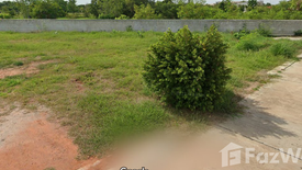 Land for sale in Nai Mueang, Chaiyaphum