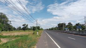 Land for sale in Nong Bua Khok, Buriram