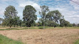 Land for sale in Nong Bua Khok, Buriram