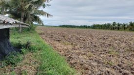 Land for sale in Khlong Krabue, Nakhon Si Thammarat