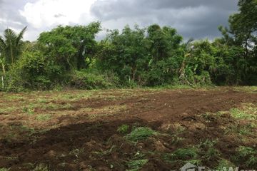 Land for sale in Ban Yang, Buriram