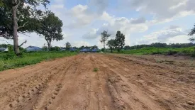 Land for sale in That, Ubon Ratchathani