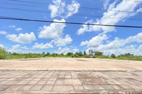 Land for sale in Seka, Bueng Kan