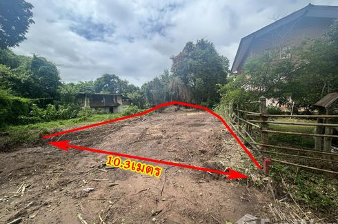 Land for sale in Makham Sung, Phitsanulok