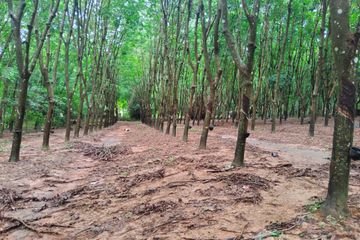 Land for sale in Nam Kaen, Nan