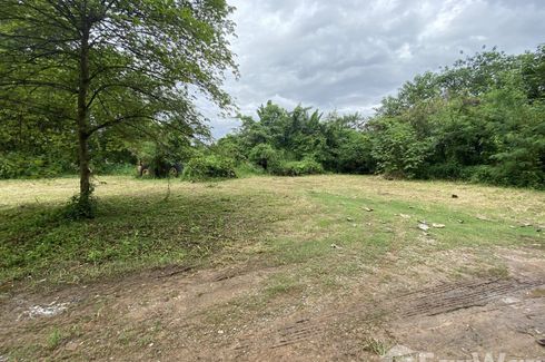 Land for sale in Na An, Loei