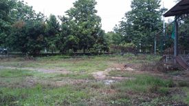 Land for sale in Na An, Loei