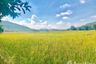 Land for sale in Si Bua Ban, Lamphun