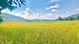 Land for sale in Si Bua Ban, Lamphun