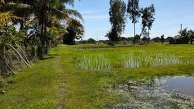 Land for sale in Khlong Prasong, Krabi