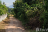 Land for sale in Chiang Khan, Loei