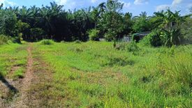 Land for sale in Khao Din, Krabi