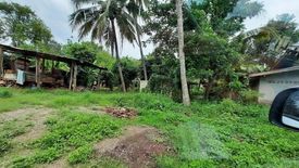 Land for sale in Na Yom, Phetchabun