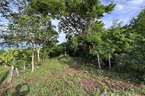 Land for sale in Wang Kai Thuean, Chainat