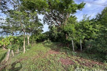 Land for sale in Wang Kai Thuean, Chainat