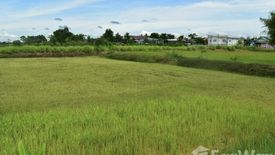 Land for sale in Khon Kaen, Roi Et